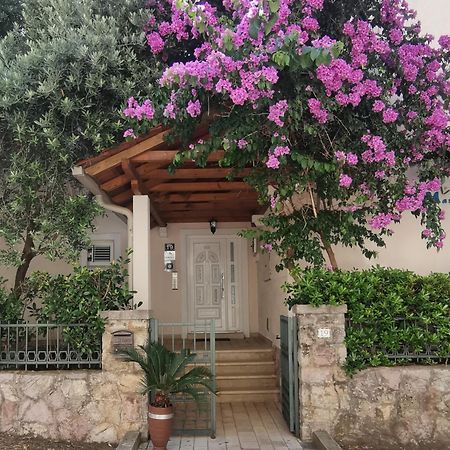 Apartments Maris Petrovac Bagian luar foto