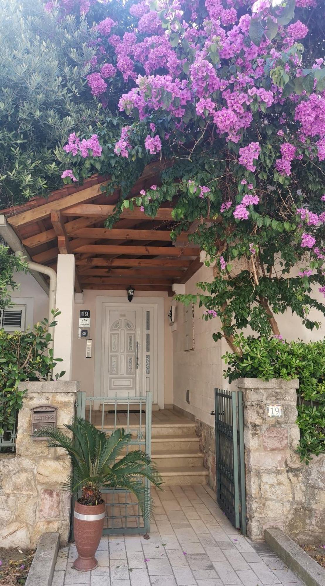 Apartments Maris Petrovac Bagian luar foto