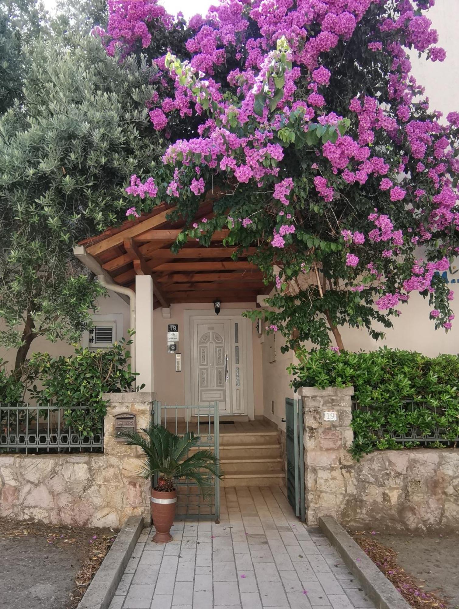 Apartments Maris Petrovac Bagian luar foto
