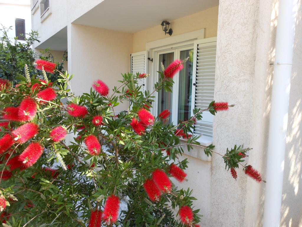 Apartments Maris Petrovac Ruang foto